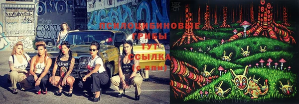 молекула духа Балахна