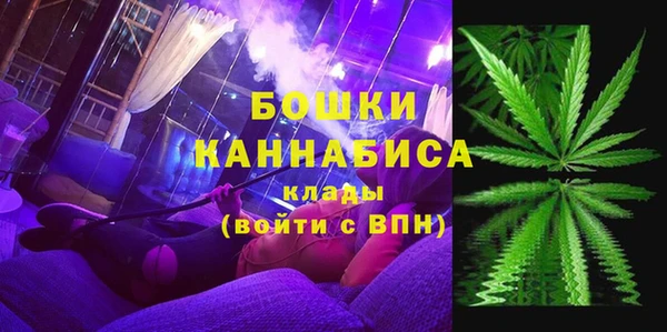 молекула духа Балахна