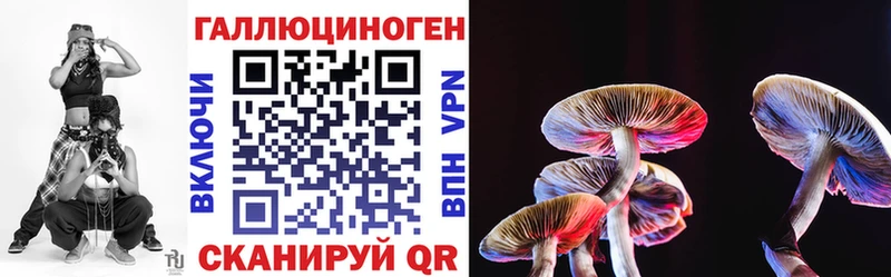 Купить  Светлоград  Псилоцибиновые грибы Psilocybine cubensis 